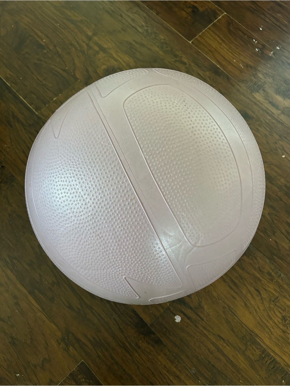 Pregnancy Exercise Stability Ball